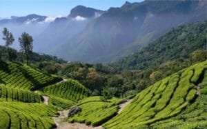 monsoon destinations in India