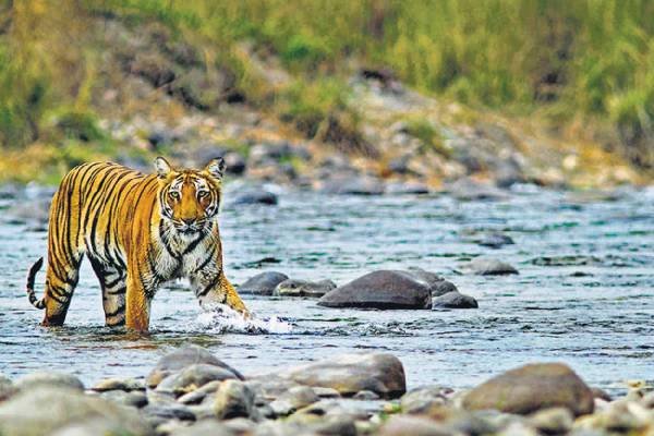 Uttarakhand Tourism image-14