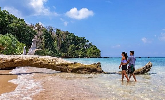 Beach Tour Packages