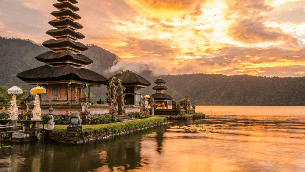 Bali Tour Guide