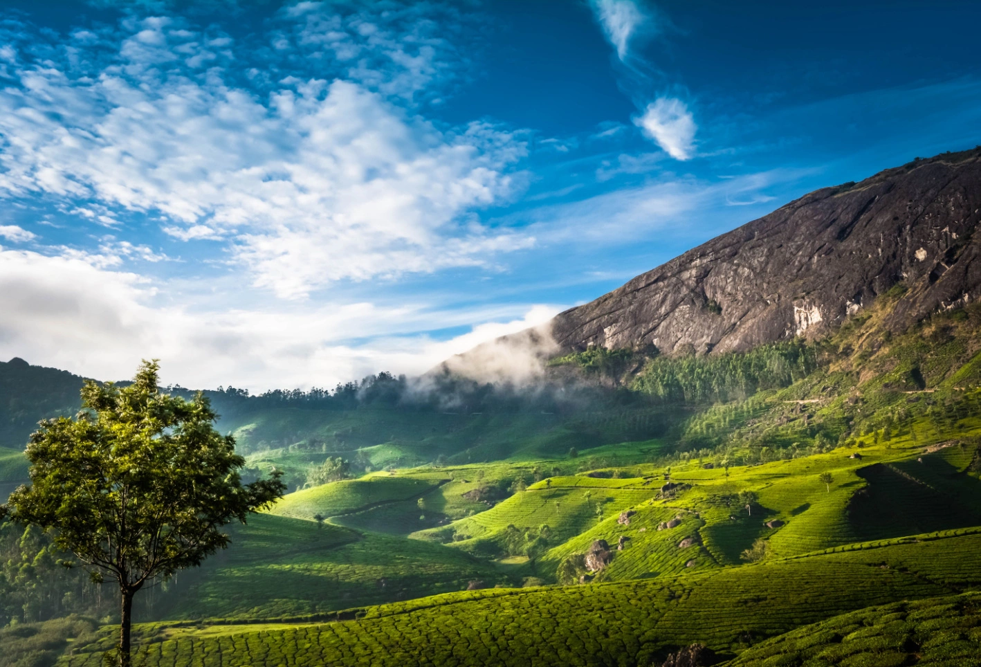 Kerala Tour Packages
