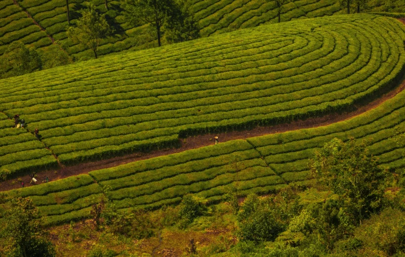 Kerala Tour Packages