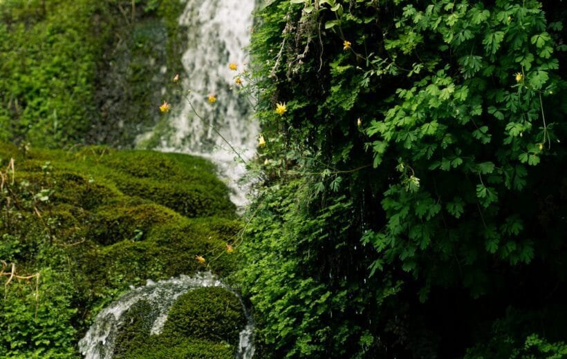 Himachal Pradesh Tour Packages