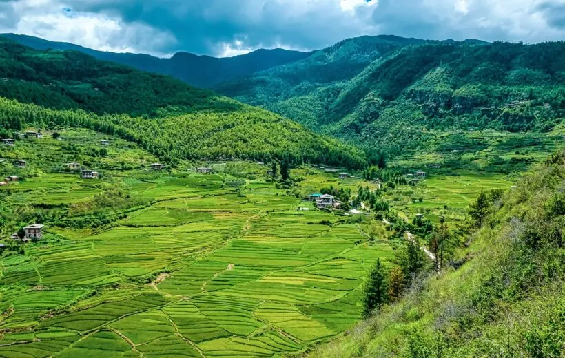 India Tour Packages