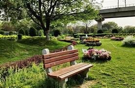 Botanic Garden Noida – Peaceful green space for nature lovers during a Noida tour