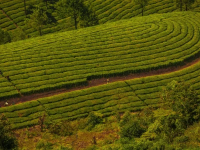 Kerala Tour Packages